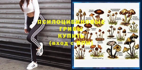 альфа пвп Заволжье
