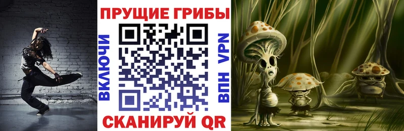 наркота Югорск Псилоцибиновые грибы Magic Shrooms